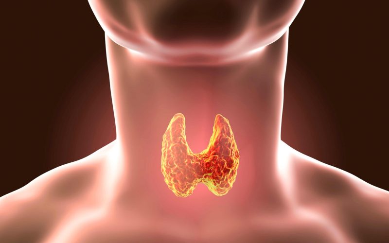 Como as terapias integrativas auxiliam no tratamento das disfunções tireoidianas